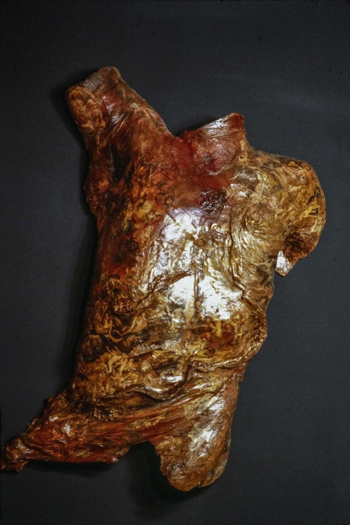 Paris 85x55cm Reinforced Plaster Boat varnish
